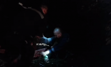 Interventie surprinzatoare: O bovina a fost salvata dintr-o fantana de canalizare de peste doi metri - VIDEO Interventie surprinzatoare: O bovina a fost salvata dintr-o fantana de canalizare de peste doi metri - VIDEO