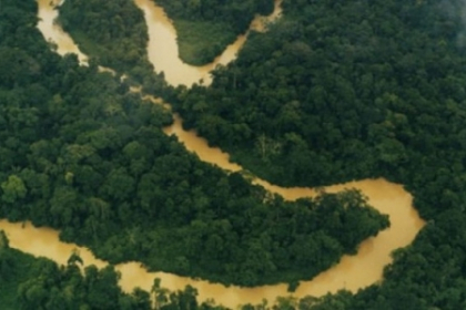 Peru: 35 de sarcofage din epoca prehispanica, descoperite in padurea amazoniana Peru: 35 de sarcofage din epoca prehispanica, descoperite in padurea amazoniana