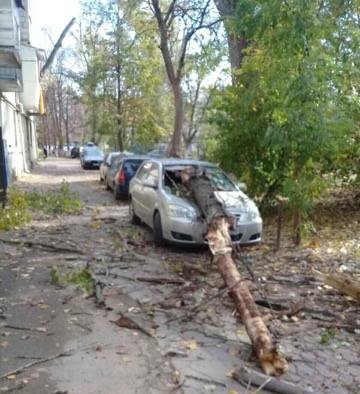 Ghinion pentru un sofer care si-a lasat masina parcata in curtea unui bloc din capitala: un copac a cazut peste ea - GALERIE FOTO Ghinion pentru un sofer care si-a lasat masina parcata in curtea unui bloc din capitala: un copac a cazut peste ea - GALERIE FOTO