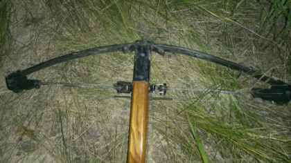 Strigator la Cer: Cum au MALTRATAT doi tineri din capitala un caine. ASA arata arma folosita de baieti