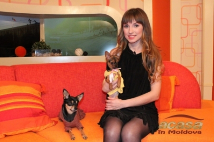Reteta de paine cu seminte de in, de la designerul Leanka Chokolate - FOTO Reteta de paine cu seminte de in, de la designerul Leanka Chokolate - FOTO