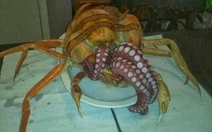 "Creatura de pe masa de Craciun." Combinatia culinara inedita de curcan, crab si caracatita