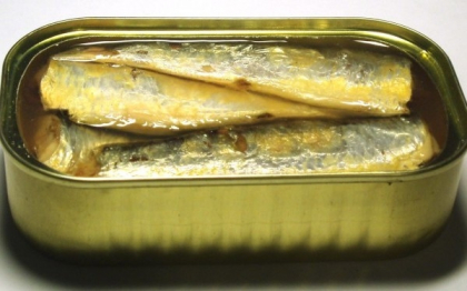 Care sunt conservele hranitoare cu nutrienti usor de absorbit de catre organism