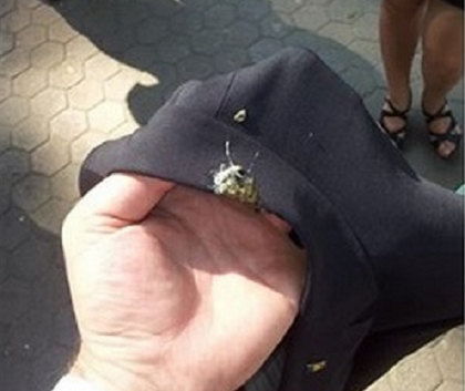 Primarul Dorin Chirtoaca, felicitat de Ziua Limbii Romane si de o... pasarica: "Noroc ca nu chiar in cap" - FOTO