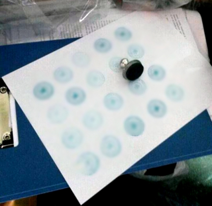 Se ocupau cu vanzarea documentelor oficiale, stampiliilor si sigiliilor FALSE. Persoanele, RETINUTE. Cum actionau Se ocupau cu vanzarea documentelor oficiale, stampiliilor si sigiliilor FALSE. Persoanele, RETINUTE. Cum actionau