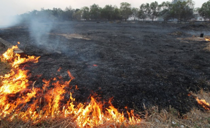 Pericol exceptional de incendiu: Pompierii recomanda respectarea normelor antiincendiare Pericol exceptional de incendiu: Pompierii recomanda respectarea normelor antiincendiare