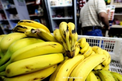 Angajatii unui supermarket din Germania au facut o descoperire de necrezut intr-o lada cu banane Angajatii unui supermarket din Germania au facut o descoperire de necrezut intr-o lada cu banane