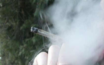 Capcana in care au cazut comerciantii legali de marijuana din SUA, unde consumul a fost legalizat