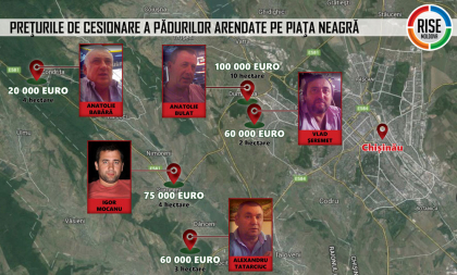 Rise Moldova: Pe piata neagra, dreptul de arenda a unui hectar de padure se vinde cu pana la 30.000 de euro. Vanzatorii sunt afaceristii ce au incheiat contracte cu Moldsilva - VIDEO