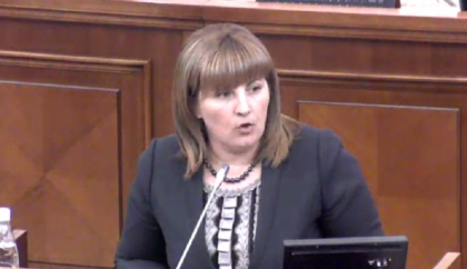 Liliana Palihovici: "Este o lupta acerba intre partide. Colegi din PD, veti deveni distrugatorii viitorului european daca veti vota"