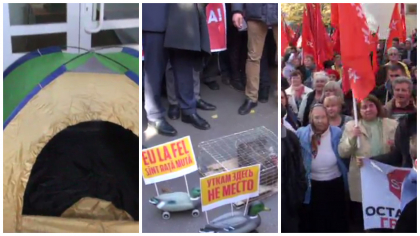 Socialistii au instalat un cort in sediul ANRE si au adus o "rata muta" la resedinta de stat a presedintelui. Ei cer anularea majorarii tarifelor la lumina, demisia lui Timofti si alegeri anticipate - GALERIE FOTO