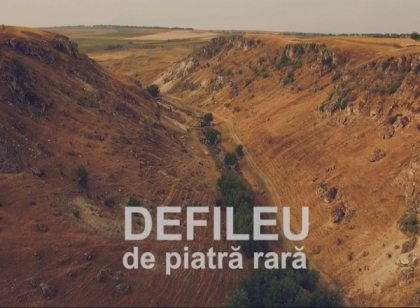 Exista doar in Moldova. Nicaieri in lume nu vezi asa ceva!