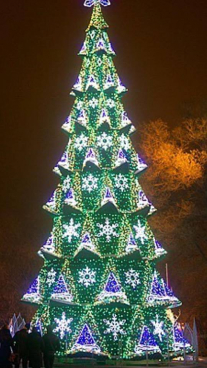 Vine bradul la Balti! Usatii: "Eu stiam ca bradul meu va fi mai frumos si mai inalt decat cel al lui Chirtoaca, dar n-am stiut ca va fi si mai inalt decat cel din Moscova" - FOTO