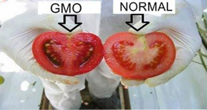 Cel mai util truc pentru sanatatea ta! Afla cum identifici alimentele modificate genetic inca de la raft!