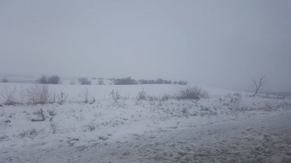 Nordul tarii, ALB. Iarna si-a intrat complet in drepturi. Ce VREME vom avea in urmatoarele zile - GALERIE FOTO Nordul tarii, ALB. Iarna si-a intrat complet in drepturi. Ce VREME vom avea in urmatoarele zile - GALERIE FOTO