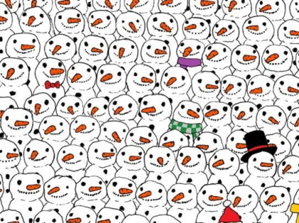 FOTO - Imaginea care a captivat internetul! Tu vezi unde este ursul panda in poza?