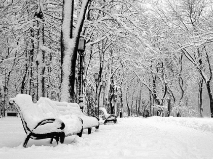 Duminica +15, de Revelion -9. Dupa vremea de primavara din acest weekend, meteorologii promit zapada de Anul Nou!