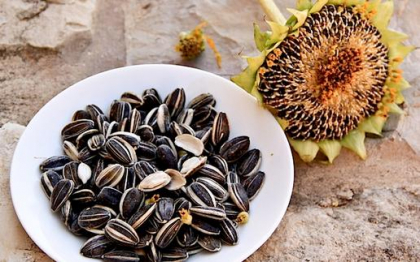 Pericolele consumului de seminte sarate. Avertismentul nutritionistilor