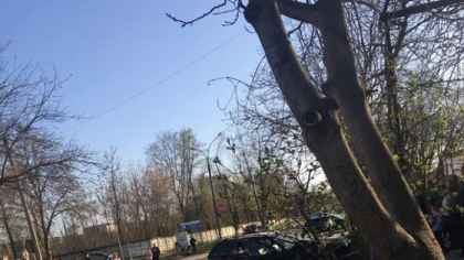 Un copil de 6 ani si un tanar de 19 ani au ajuns in stare grava la spital, dupa ce Fiat-ul in care se aflau a fost lovit violent de un BMW, la Ungheni. Masinile, facute zob - GALERIE FOTO