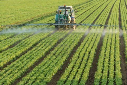 Unde au disparut 400 de milioane de lei destinate agriculturii - Mold-street.com