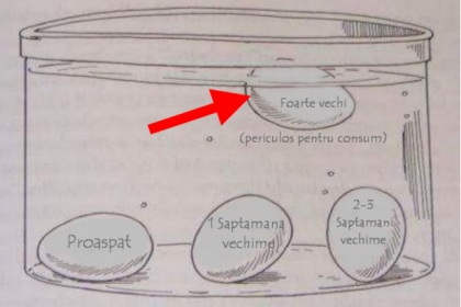 Cum afli dintr-o privire, daca ouale din supermarket sunt proaspete. Doua trucuri pe care trebuie sa le cunosti