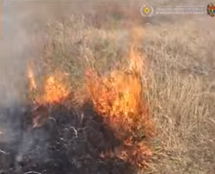 Incendiu de vegetatie in Cahul: Mai multe case au fost salvate - VIDEO
Incendiu de vegetatie in Cahul: Mai multe case au fost salvate - VIDEO
