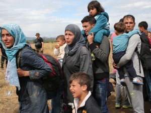 Circa 80 de imigranti, descoperiti de autoritatile belgiene la frontiera cu Franta
