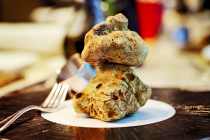 Alimentul care valoreaza 5 mii de dolari, pentru un kilogram. Cum este recoltat