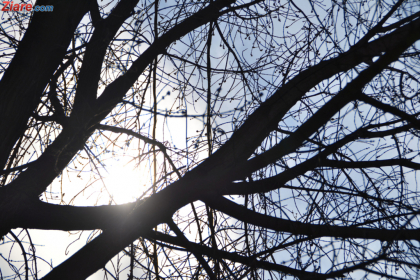 Gata cu zilele insorite. Meteorologii au emis cod galben de ingheturi in toata tara Gata cu zilele insorite. Meteorologii au emis cod galben de ingheturi in toata tara