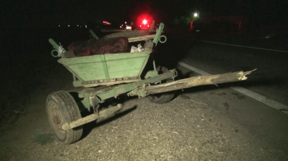 Soferul unui Mercedes a izbit din plin o caruta la Hancesti si a fugit de la fata locului. Carutasul si calul au murit Soferul unui Mercedes a izbit din plin o caruta la Hancesti si a fugit de la fata locului. Carutasul si calul au murit