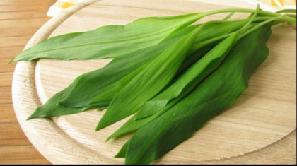 Leurda, planta mileniului III. De ce e toata lumea innebunita dupa ea