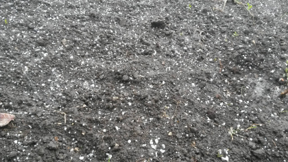 Vreme instabila. Ploua in capitala, iar in unele zone a cazut grindina. Ce temperaturi vom avea in urmatoarele zile - FOTO Vreme instabila. Ploua in capitala, iar in unele zone a cazut grindina. Ce temperaturi vom avea in urmatoarele zile - FOTO
