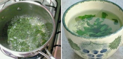 O Femeie a slabit 5 kilograme de joi pana sambata cu ajutorul acestei plante miraculoase! O Femeie a slabit 5 kilograme de joi pana sambata cu ajutorul acestei plante miraculoase!