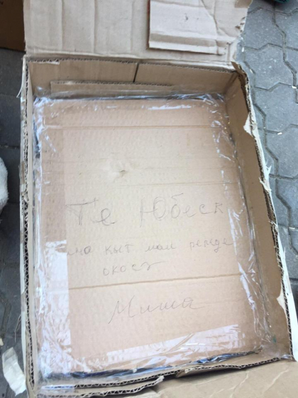 Colet plin cu bunatati si ticsit cu... mult dor. Mesajul unui moldovean care a incercat sa-si ascunda disperarea si dorinta de a-i vedea pe cei dragi... la fundul unei cutii de carton - FOTO Colet plin cu bunatati si ticsit cu... mult dor. Mesajul unui moldovean care a incercat sa-si ascunda disperarea si dorinta de a-i vedea pe cei dragi... la fundul unei cutii de carton - FOTO