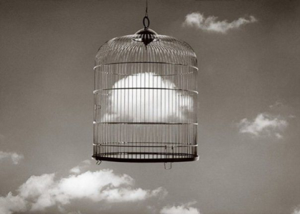 Imaginile care te vor face sa te uiti de doua ori pentru a intelege ce reprezinta - GALERIE FOTO Imaginile care te vor face sa te uiti de doua ori pentru a intelege ce reprezinta - GALERIE FOTO