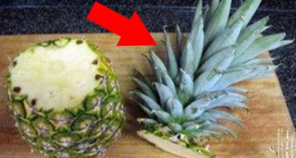Obisnuiesti sa arunci partea superioara a ananasului? O vei pastra garantat dupa ce vei afla la ce o poti folosi Obisnuiesti sa arunci partea superioara a ananasului? O vei pastra garantat dupa ce vei afla la ce o poti folosi