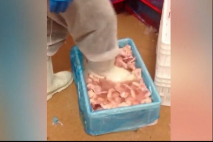 Carne de pui, dezghetata cu picioarele! Imaginile care au infuriat consumatorii