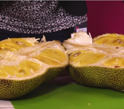 Are 45 de kilograme si gust de cartof cu ananas! MIRACULOSUL fruct al "saracilor" ar putea salva omenirea de la foamete Are 45 de kilograme si gust de cartof cu ananas! MIRACULOSUL fruct al "saracilor" ar putea salva omenirea de la foamete