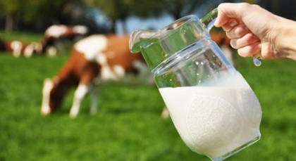 Mitul consumului de lapte si de produse lactate. Iata ce au constatat nutritionistii Mitul consumului de lapte si de produse lactate. Iata ce au constatat nutritionistii