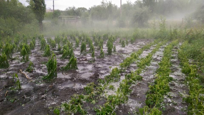 Ploaia de aseara a facut prapad in tara. 75 ha de teren cultivabil au fost deteriorate