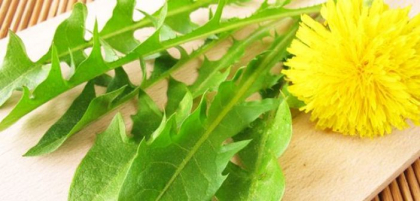 Motive pentru care ar trebui sa mananci frunze de papadie! Ce au constatat nutritionistii