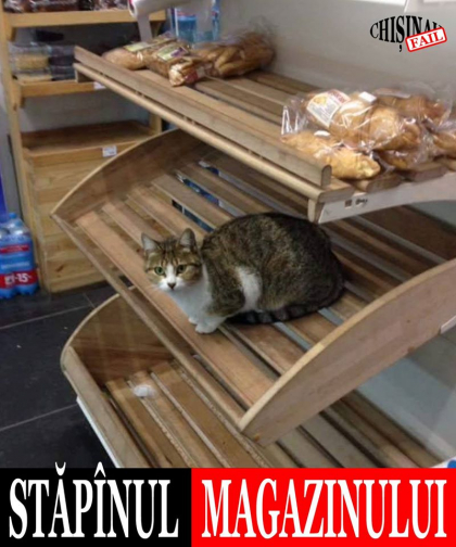 Ce a surprins un cumparator pe raftul unui magazin - FOTO