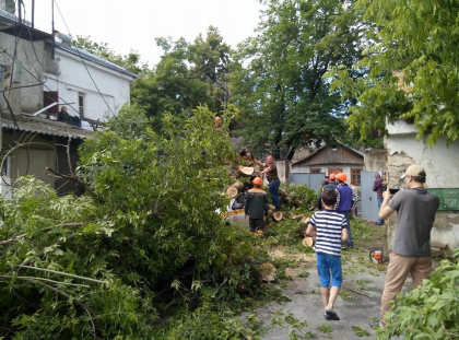 Ghinion pentru un sofer de taxi din capitala. S-a trezit cu masina facuta ZOB dupa ce un copac a cazut peste ea - FOTO