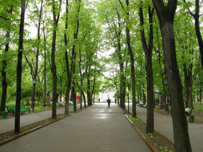 50 de euro amenda dupa ce a fost prins ca fumeaza in parcul Stefan cel Mare. Cine este ghinionistul - FOTO 50 de euro amenda dupa ce a fost prins ca fumeaza in parcul Stefan cel Mare. Cine este ghinionistul - FOTO