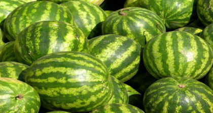 Evita sa mananci acest tip de pepene verde! Sanatatea ta ar putea fi in pericol