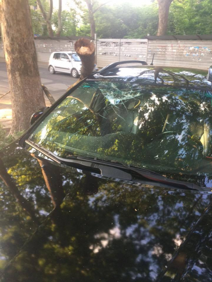 Masina avariata! O creanga a cazut peste un automobil parcat intr-o curte - GALERIE FOTO Masina avariata! O creanga a cazut peste un automobil parcat intr-o curte - GALERIE FOTO