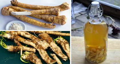 Tinctura de hrean cu papadie! Este recomandata in curele de slabire Tinctura de hrean cu papadie! Este recomandata in curele de slabire