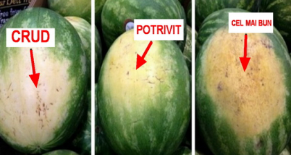 Cum sa alegi cel mai dulce harbuz! Iata semnele care te ajuta Cum sa alegi cel mai dulce harbuz! Iata semnele care te ajuta