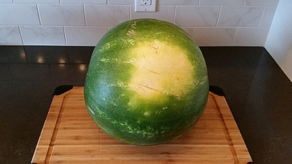Detaliul care iti arata clar daca un pepene este dulce sau nu fara sa il tai! Uite la ce trebuie sa te uiti pe coaja lui! Trucul asta nu da gres niciodata - FOTO