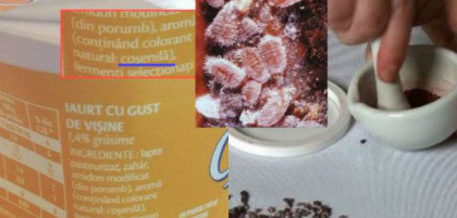 Cele mai dezgustatoare ingrediente din alimente. Pasta de gandaci, excremente de insecte, grasime de oaie in deserturile tale preferate